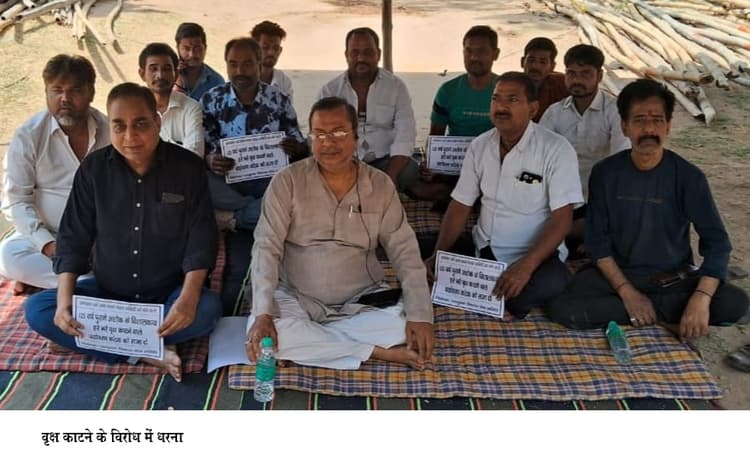 पेड़ काटने के खिलाफ धरना, कमेटी भंग करने की मांग