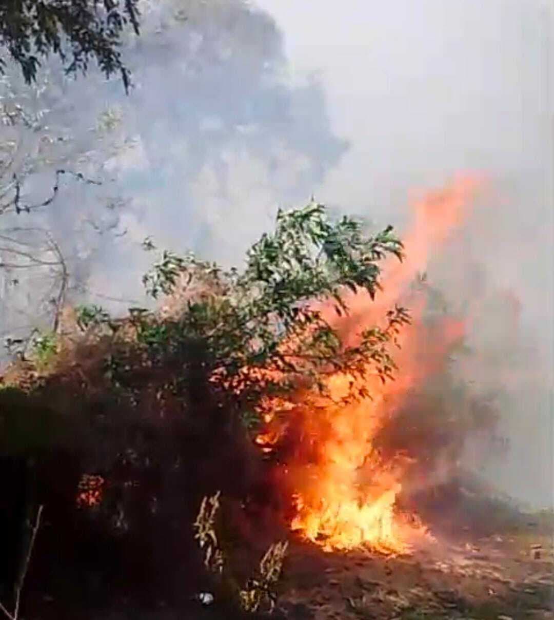 बंद पड़ी चाइना क्ले कंपनी में लगी आग, लाखों की क्षति