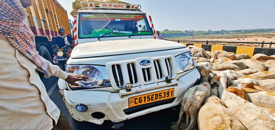 Jehanabad : पिकअप वैन ने 40 भेड़ों को कुचला, 20 की गयी जान