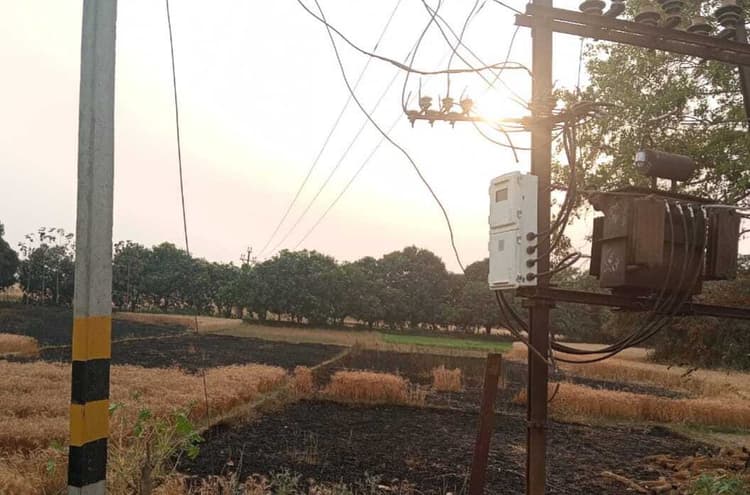 आग लगने से तैयार गेंहू की फसल राख