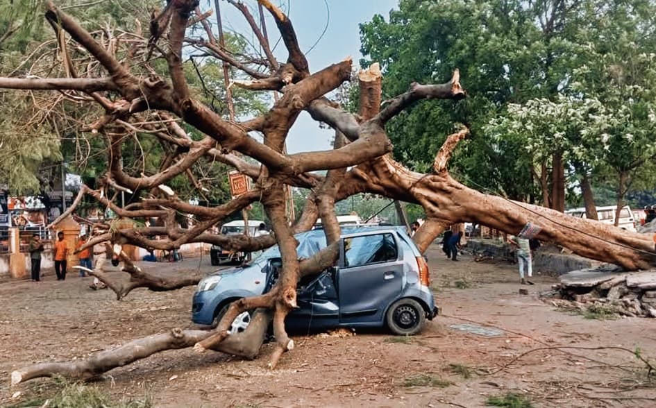 बरौनी रेलवे टैक्सी स्टैंड में पेड़ के गिरने से दो वाहन क्षतिग्रस्त, बाल बाल बची ड्राइवर की जान