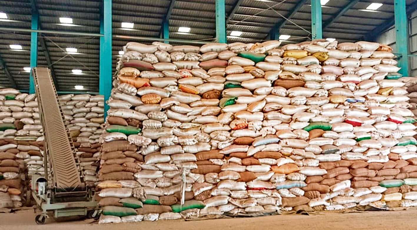 Bihar Sharif News : जिले में अब तक महज 13 किसानों से 13.1 टन खरीदा गया गेहूं