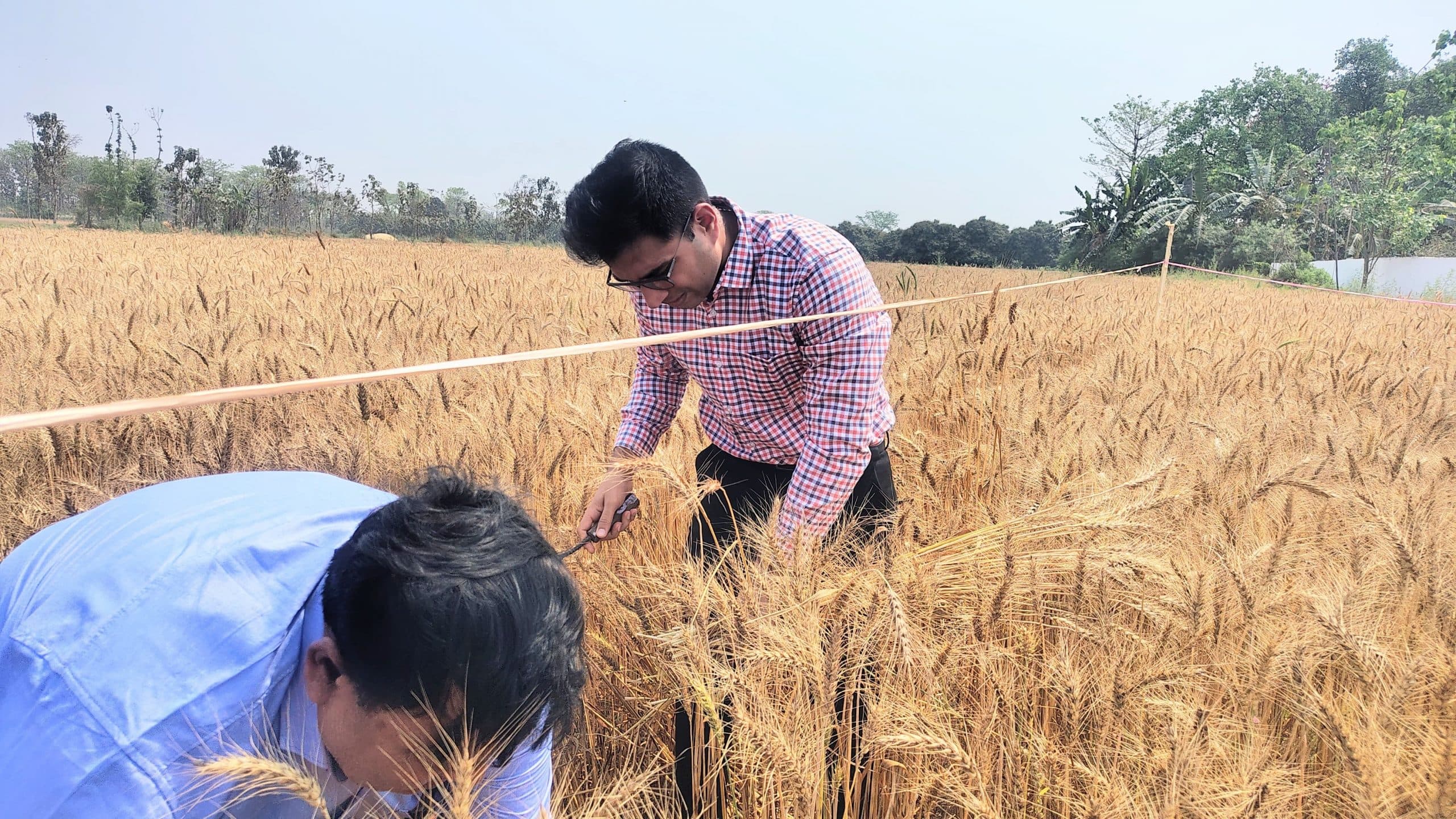 Motihari : फसलों का उत्पादन बढ़ाने के लिए सरकार गंभीर : डीएम