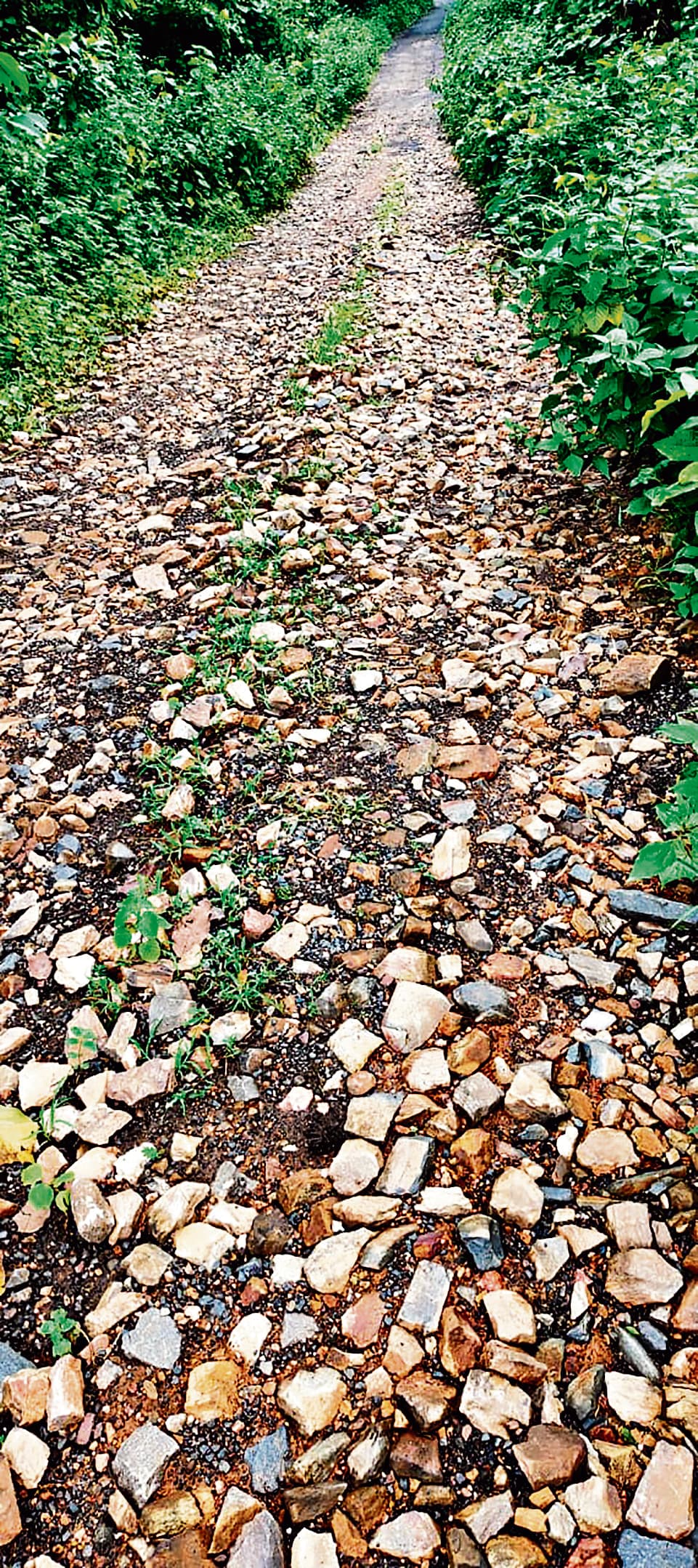 east singhbhum news: 45 दिनों में सड़क नहीं बनी, तो हाइवे जाम करेंगे