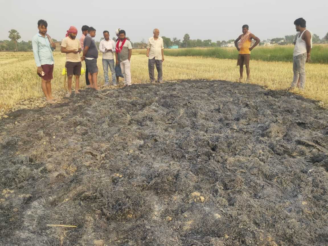 खलिहान में रखी 25 कट्ठे की गेहूं फसल में लगायी आग