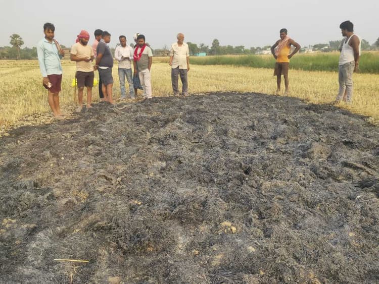 खलिहान में रखी 25 कट्ठे की गेहूं फसल में लगायी आग