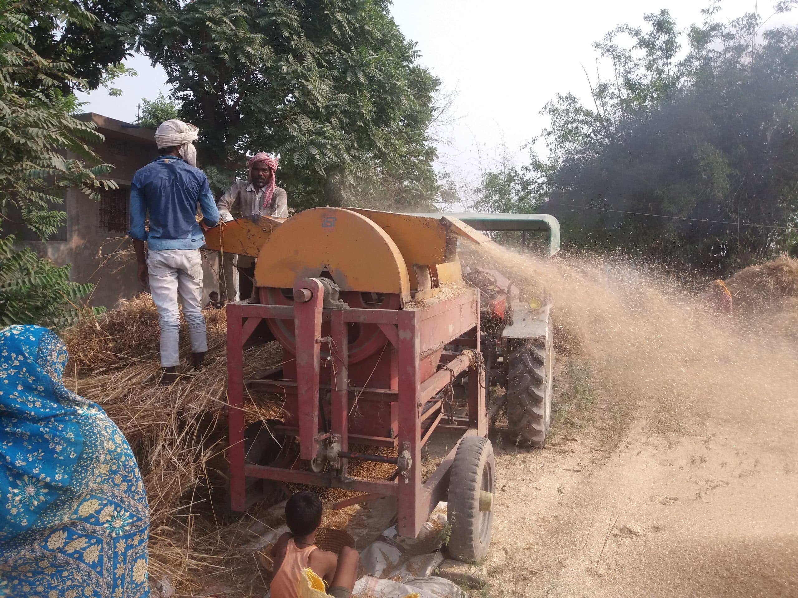 मौसम को देखते हुए दिन-रात कटनी में जुटे किसान