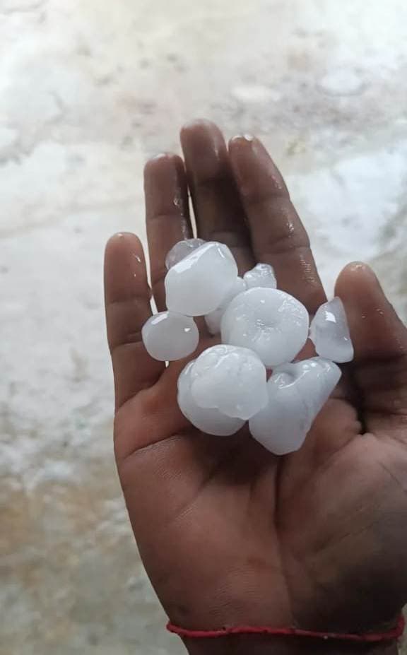 बारिश व ओलावृष्टि से किसानों को नुकसान