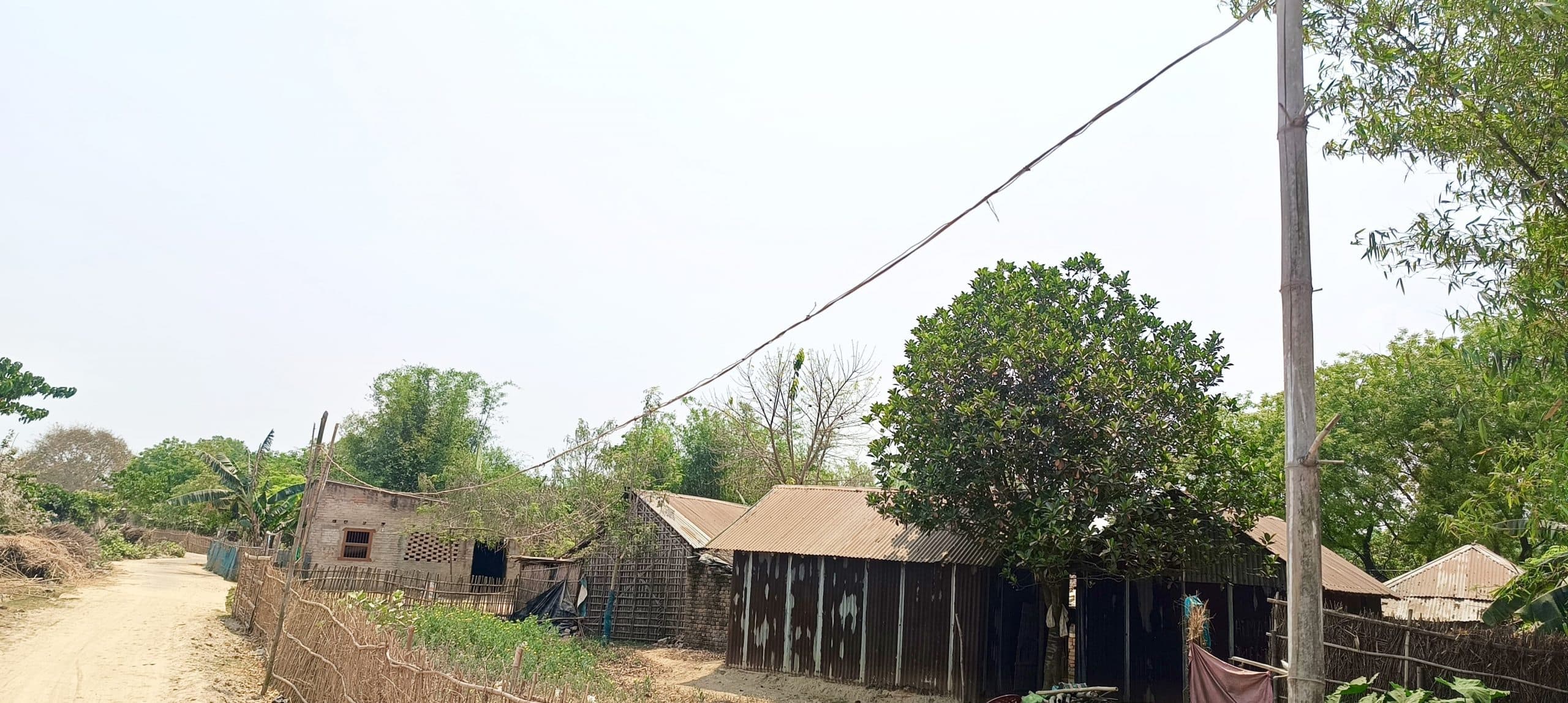 पोल के अभाव में बांस-बल्ले के सहारे विद्युत तार ले जाने की मजबूरी