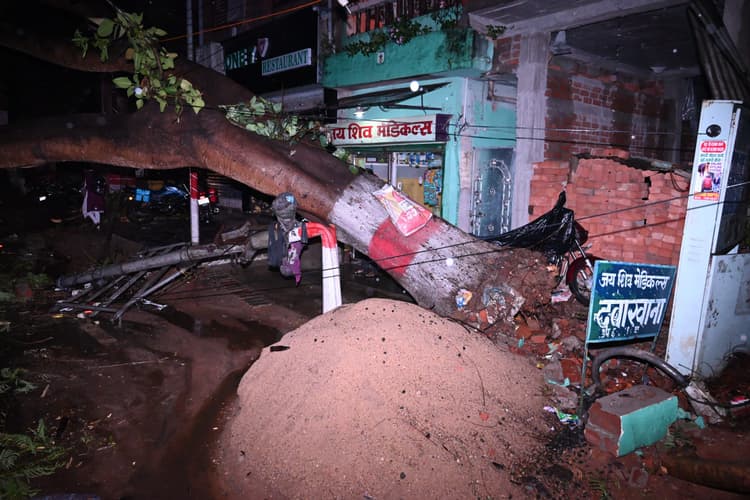 देवघर में तेज आंधी के साथ पांच एमएम बारिश, कई इलाके में पेड़ गिरने से सड़क जाम