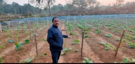 East singhbhum news: एक एकड़ में 200 क्विंटल आलू पैदा कर बने प्रेरणास्रोत