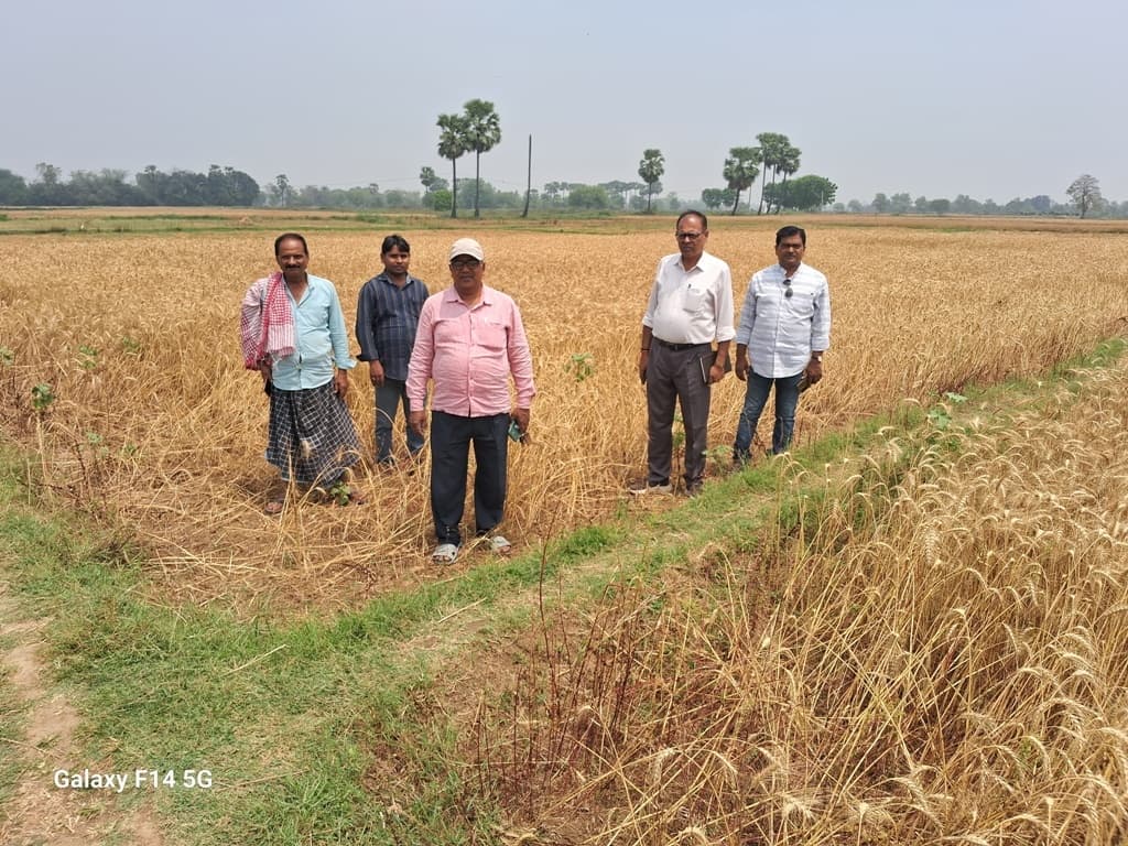 शंभुगंज में आंधी बारिश से हुए फसल क्षति का लिया जायजा