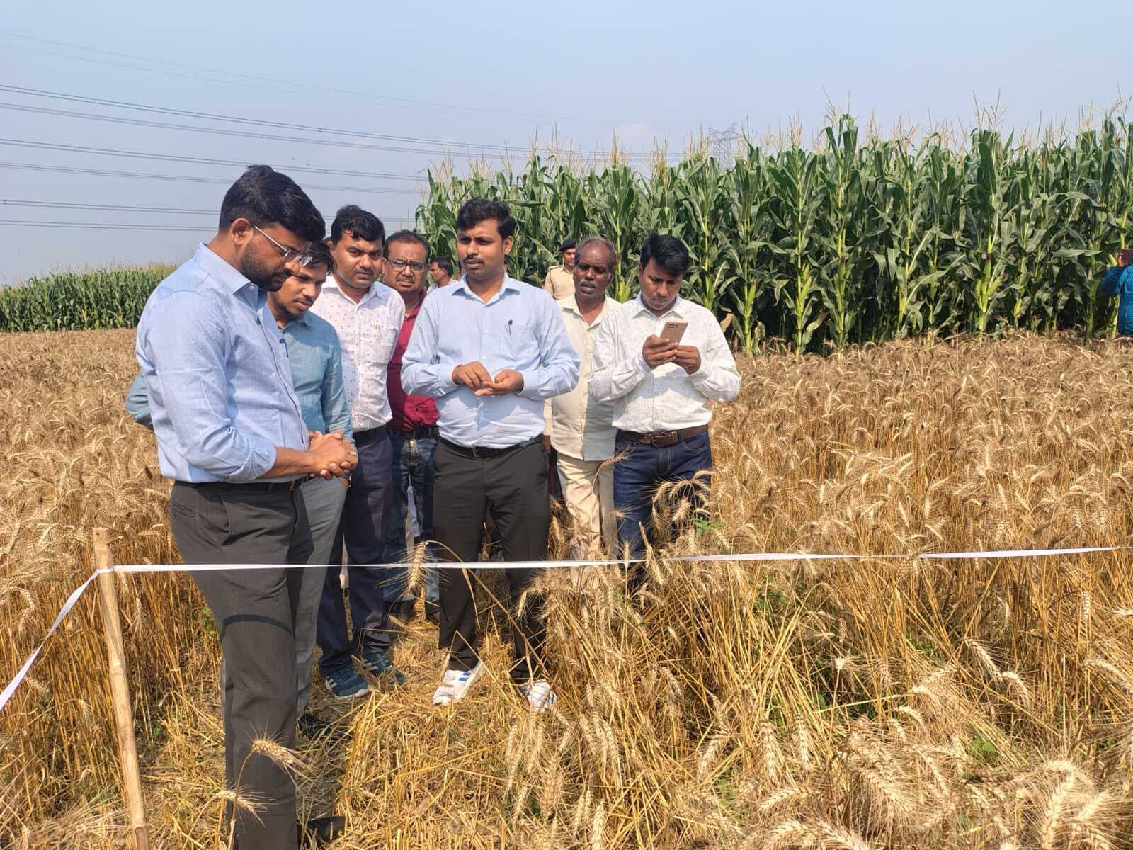 डीएम ने गेहूं फसल कटनी प्रयोग का किया निरीक्षण