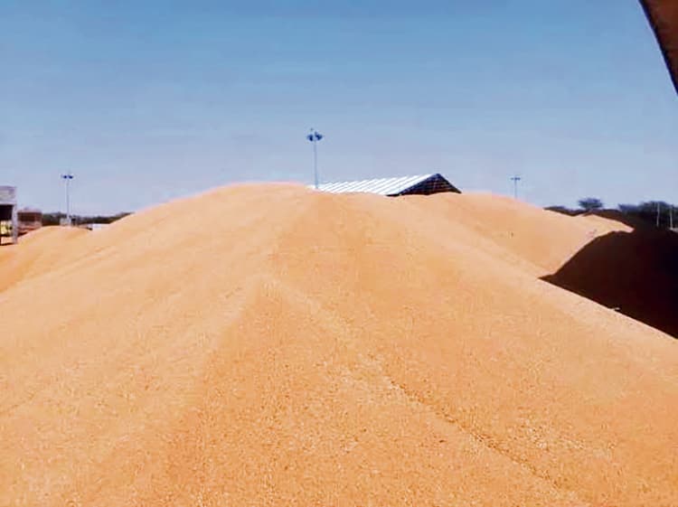 गेहूं की खरीदारी की धीमी प्रगति से किसान परेशान