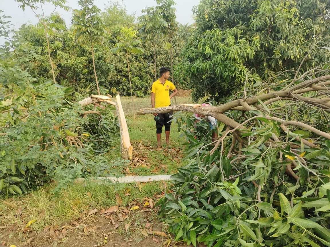 तेज आंधी व बारिश के कारण फसल को भारी नुकसान