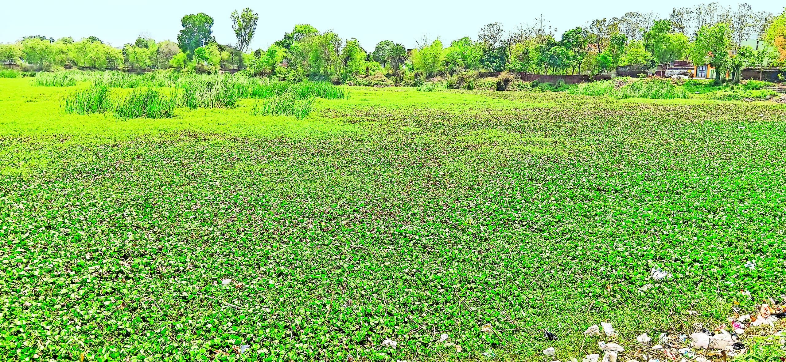 Bokaro News : पिछरी बड़काबांध का मिट रहा अस्तित्व