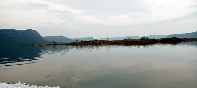 Kaimur News : सात संमदर पार से कैमूर में उतरे 45 प्रजाति के मेहमान परिंदे