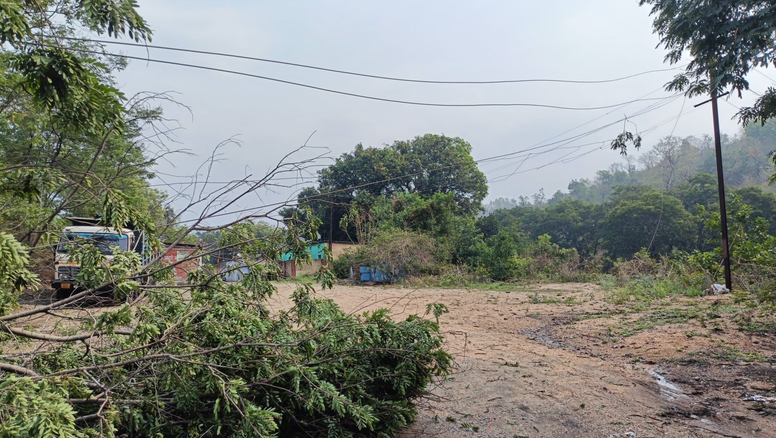 Bokaro News : आंधी-पानी से कई पेड़ गिरे, घंटों बिजली आपूर्ति ठप