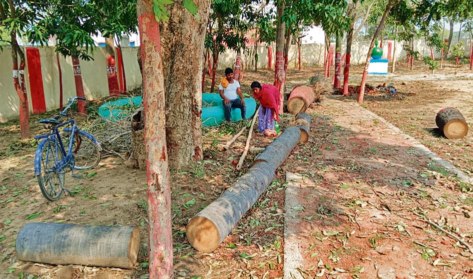 Jehanabad : सरता विद्यालय में पेड़ काटते दिखा रात्रि प्रहरी