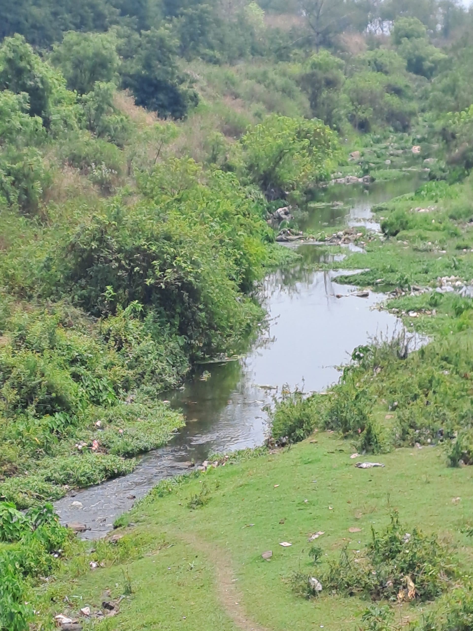 Bokaro News : बेरमो में गोदोनाला का मिट रहा अस्तित्व