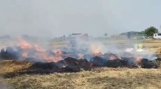 अगलगी में तीन सौ बोझा गेहूं की फसल हुई राख