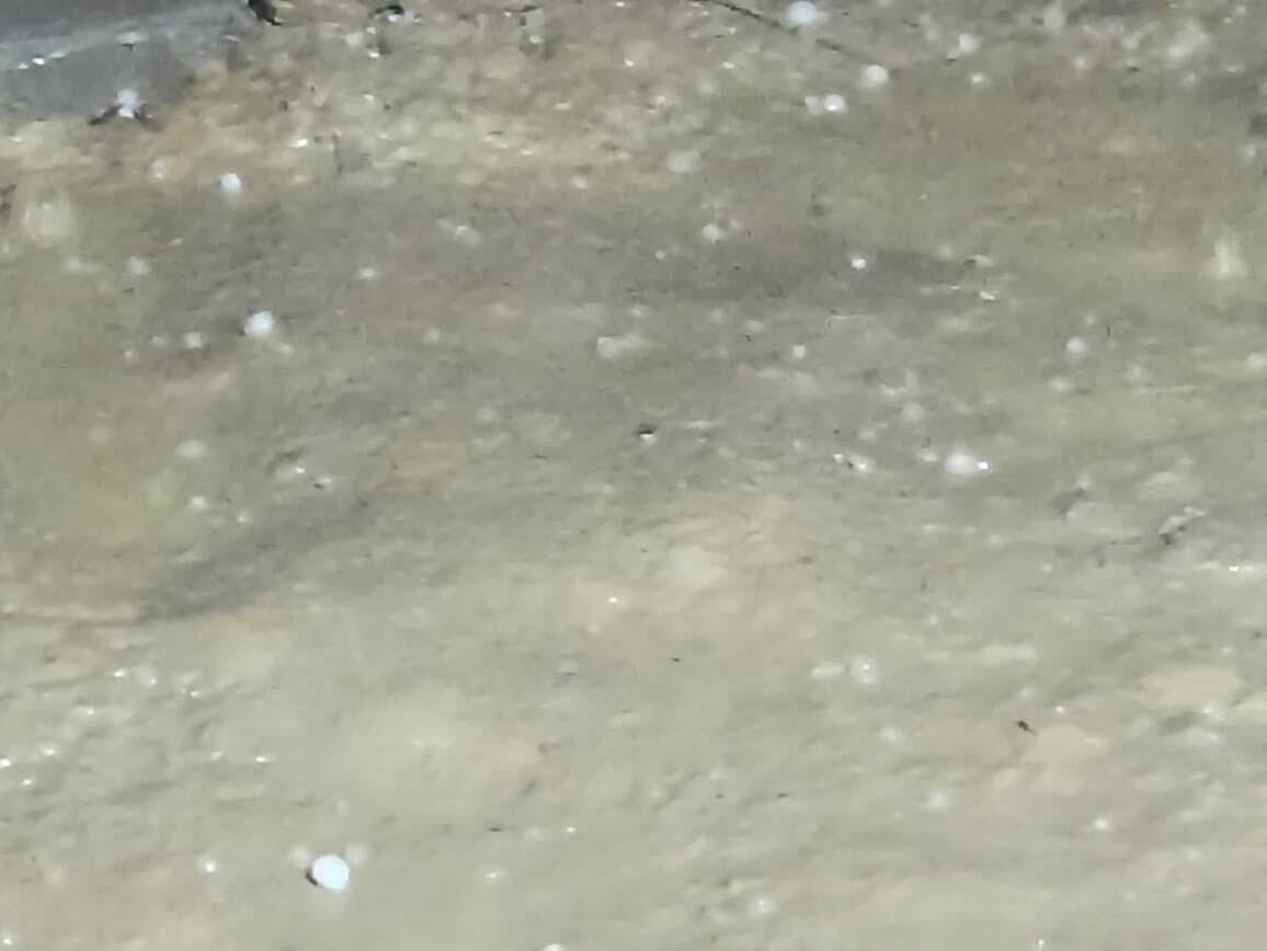 Darbhanga News: तेज आंधी-पानी के साथ ओलावृष्टि, फसलों को व्यापक क्षति