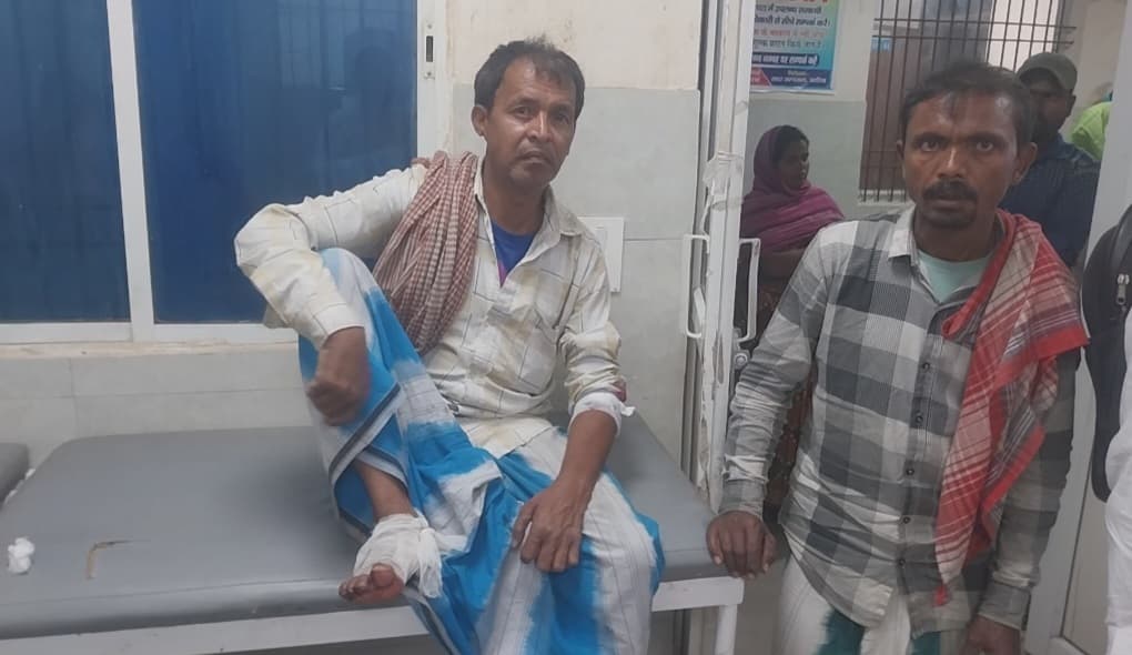 वाहन ने ऑटो में मारी टक्कर, ऑटो चालक घायल