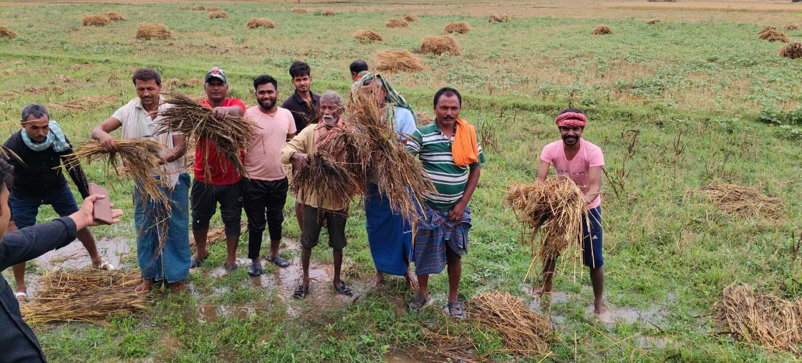 ओलावृष्टि व बारिश से फसल नुकसान का डीएओ ने लिया जायजा