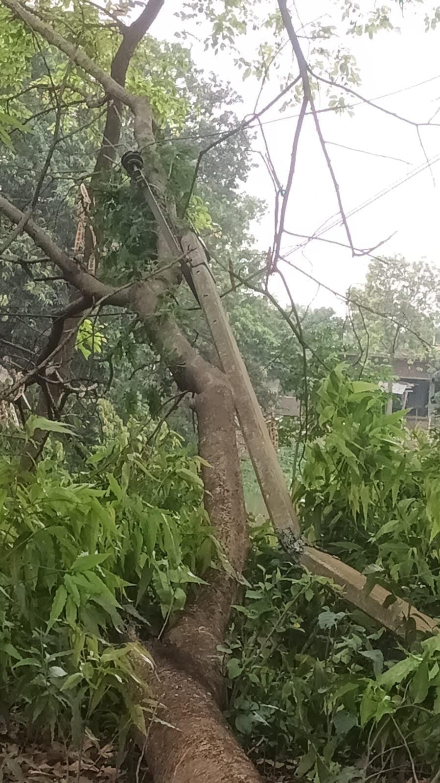 Darbhanga : आंधी-पानी से चरमरायी बिजली आपूर्ति