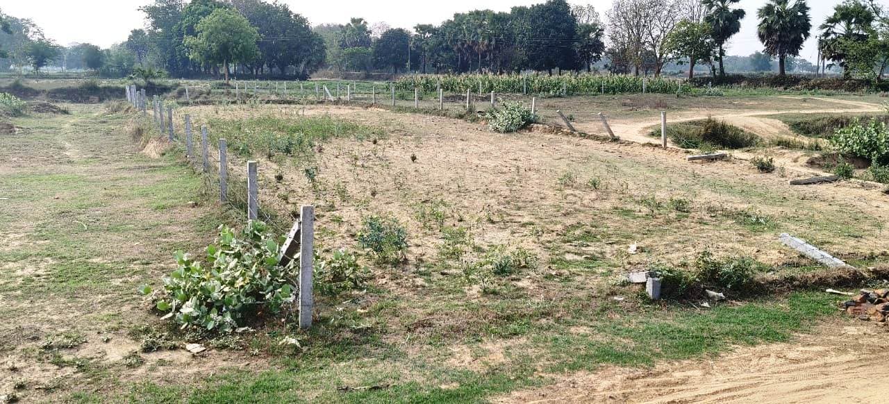 मनरेगा से पांच वर्षों में हुआ 7.49 लाख पौधारोपण, धरातल पर दिख रही गड़बड़ी ही गड़बड़ी