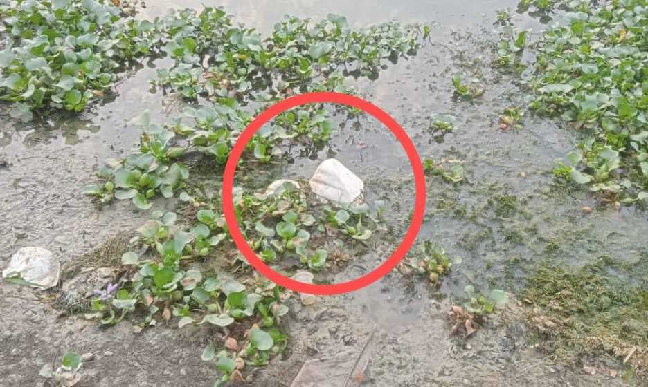 सरदार वल्लभभाई पटेल की क्षतिग्रस्त मूर्ति पोखर से बरामद