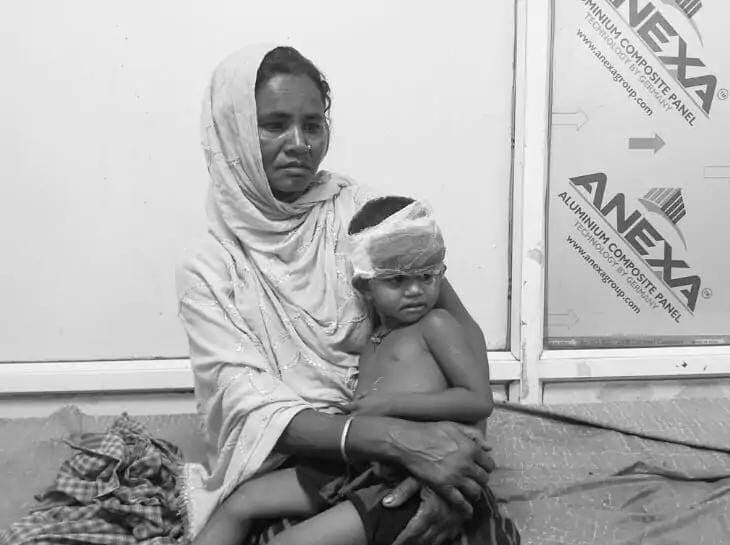 सियार ने तीन साल की बच्ची को किया जख्मी