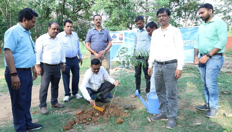 Bokaro News: 1.10 लाख हुआ पौधरोपण, सुदृढ़ता प्रदान कर रही हरियाली