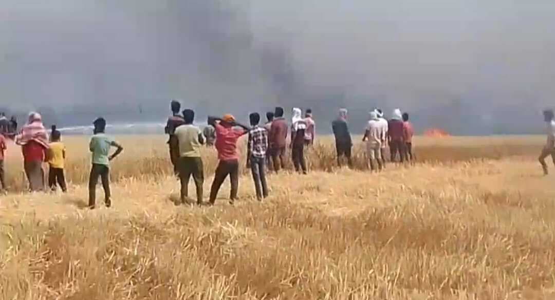 कस्तुरीपुर में शॉर्ट सर्किट से लगी आग, 40 बीघा फसल जलकर खाक