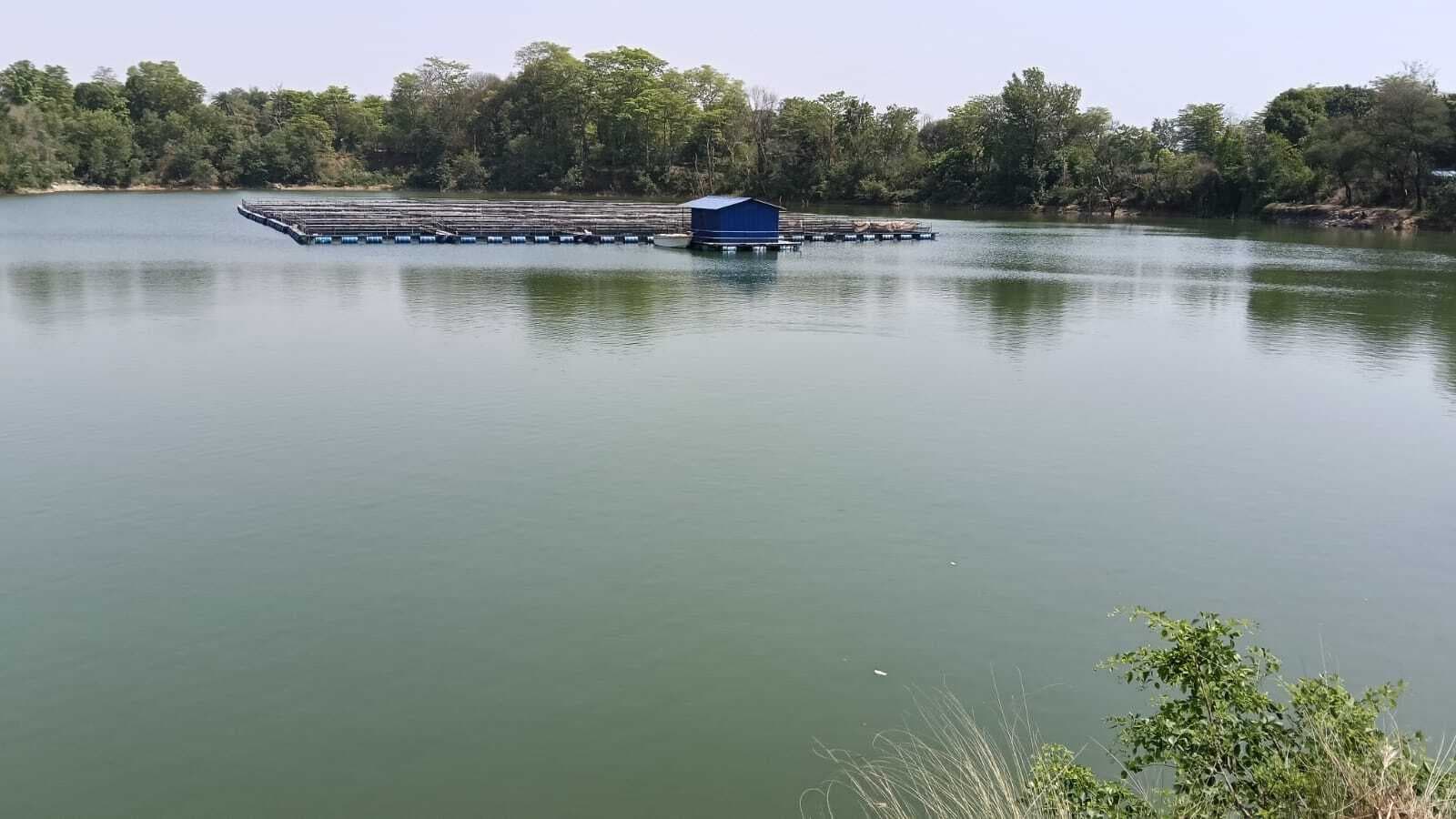 Chaibasa News : मुखिया की पहल ने बदल दी 10 हजार लोगों की तकदीर