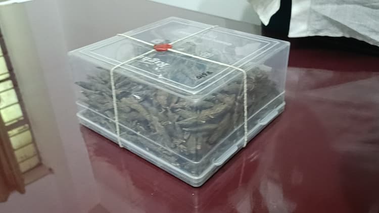 350 ग्राम गांजा के साथ शख्स गिरफ्तार, भेजा गया जेल