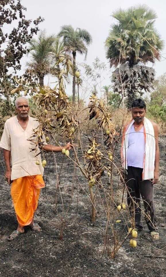 असामाजिक तत्वों ने बगीचे में लगायी आग, 50 से अधिक पेड़ जले