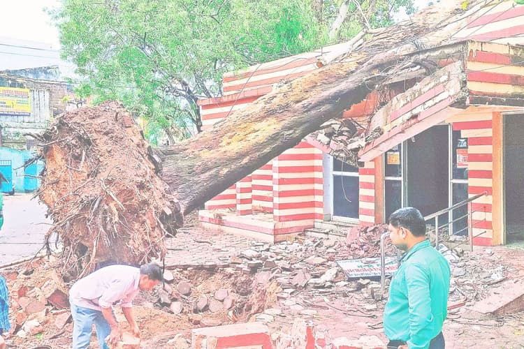 मौसम की मार : तेज हवा-बारिश संग ओलावृष्टि, कारों के शीशे, घर के एस्बेस्टस टूटे, शौचालय पर गिरा पेड़