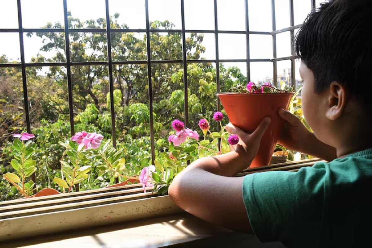 Home Decor: अब बालकनी बनेगी आपकी फेवरेट जगह, अपनाएं ये सिंपल सजावट ट्रिक्स Home Decor: अब बालकनी बनेगी आपकी फेवरेट जगह, अपनाएं ये सिंपल सजावट ट्रिक्स