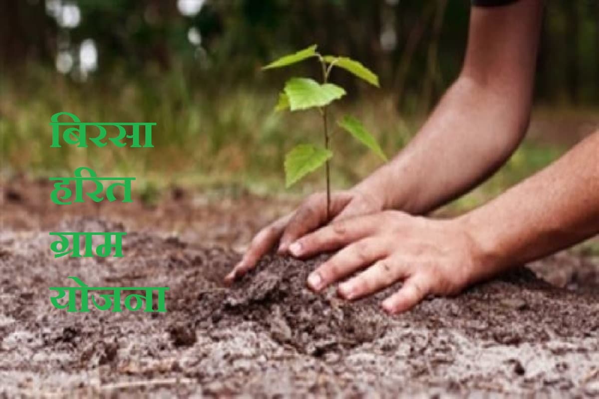 Birsa Harit Gram Yojana: झारखंड में किसानों को हर साल मिलेंगे 50 हजार रुपये, जानें कैसे करें अप्लाई Birsa Harit Gram Yojana: झारखंड में किसानों को हर साल मिलेंगे 50 हजार रुपये, जानें कैसे करें अप्लाई