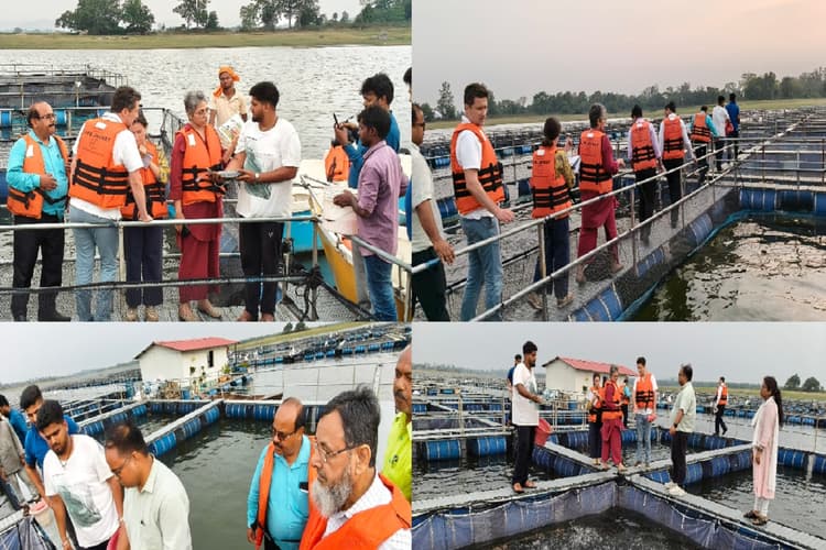 हजारीबाग बना मछली पालन का मॉडल जिला, तिलैया डैम में उच्च स्तरीय संयुक्त टीम ने किया केज कल्चर का निरीक्षण