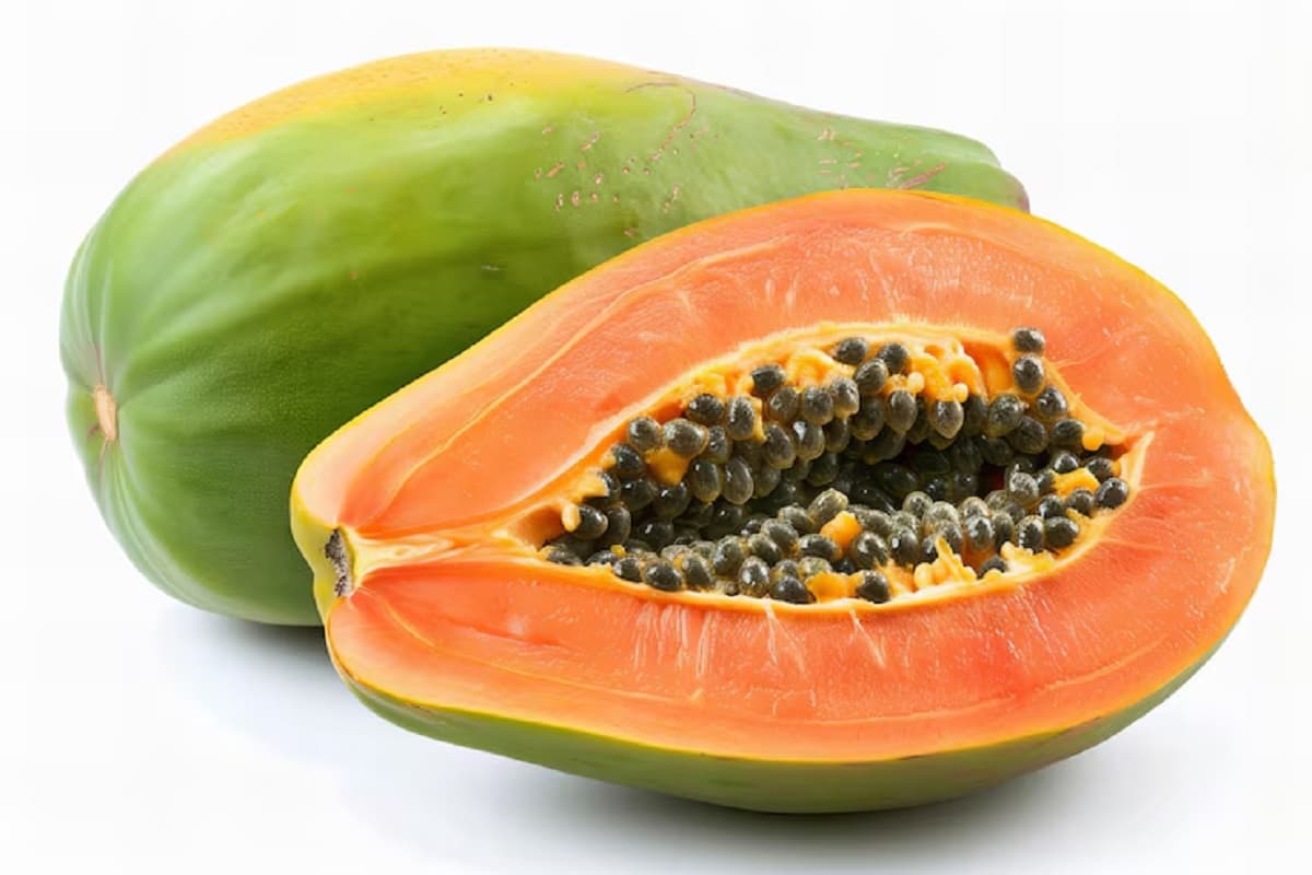 पपीता