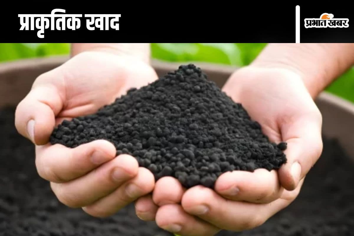 प्राकृतिक खाद