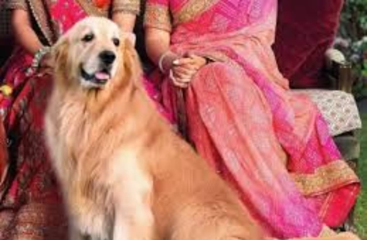 अंबानी परिवार ने खो दिया अपना लाडला, इमोशनल हुआ पूरा परिवार