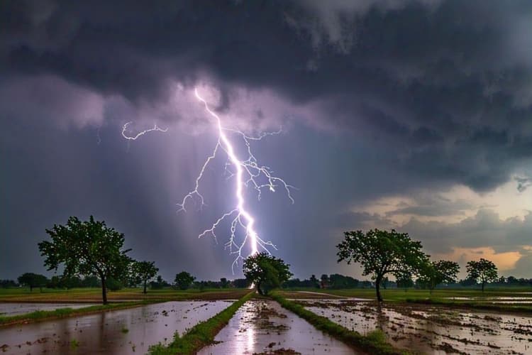 Bihar Rain Alert: बिहार के सभी जिलों में 16-17 मई को होगी भयंकर बारिश, IMD ने जारी किया ऑरेंज और येलो अलर्ट