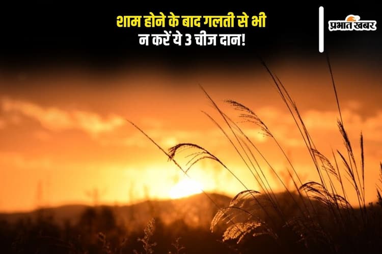 Astro Tips: शाम के वक्त भूलकर भी न करें ये 3 चीजों का दान, छिन सकता है धन और बढ़ सकती हैं मुश्किलें