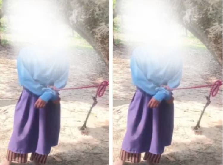 Bihar News: बिहार में लीची तोड़ने की सजा, चौथी क्लास की छात्रा को घंटों पेड़ से बांधा