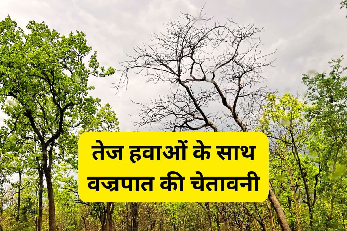 Kal Ka Mausam: झारखंड के 14 जिलों को छोड़ सभी जिलों में तेज हवाओं के साथ वज्रपात