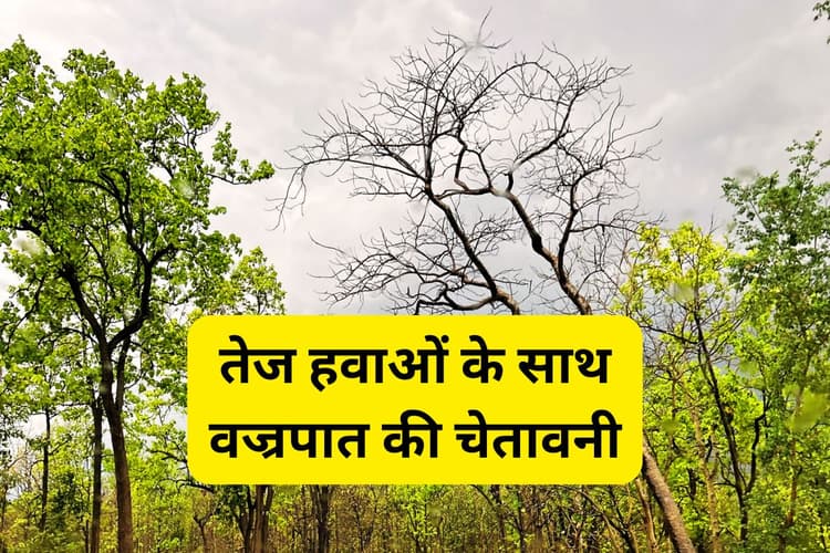 Kal Ka Mausam: झारखंड के 14 जिलों को छोड़ सभी जिलों में तेज हवाओं के साथ वज्रपात