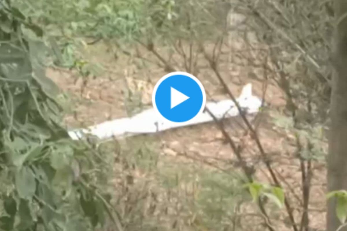 Pakistan Missile Video: दिवाली के पटाखे की तरह फुस्स निकली पाकिस्तानी मिसाइल, देखें वीडियो